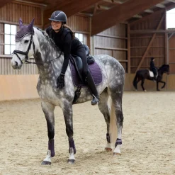 Adepto Dressurschabracke