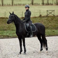 Adepto Streichkappen