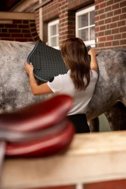 Adepto Vielseitigkeitsschabracke