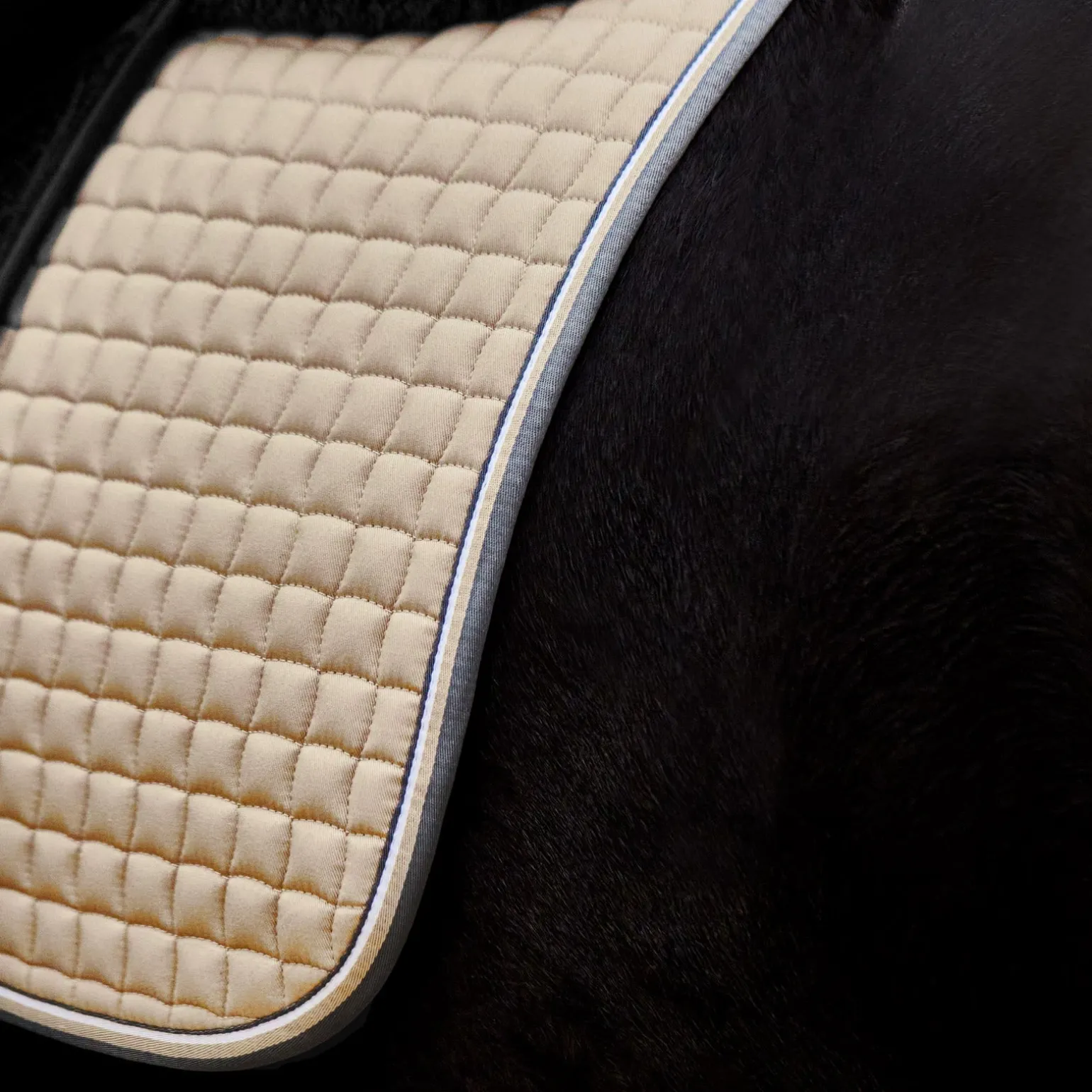 Adepto Vielseitigkeitsschabracke