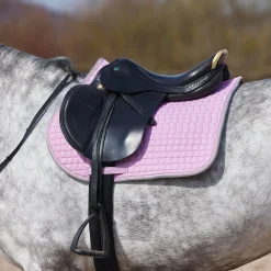 Adepto Vielseitigkeitsschabracke