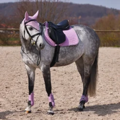 Adepto Vielseitigkeitsschabracke