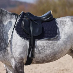 Adepto Vielseitigkeitsschabracke