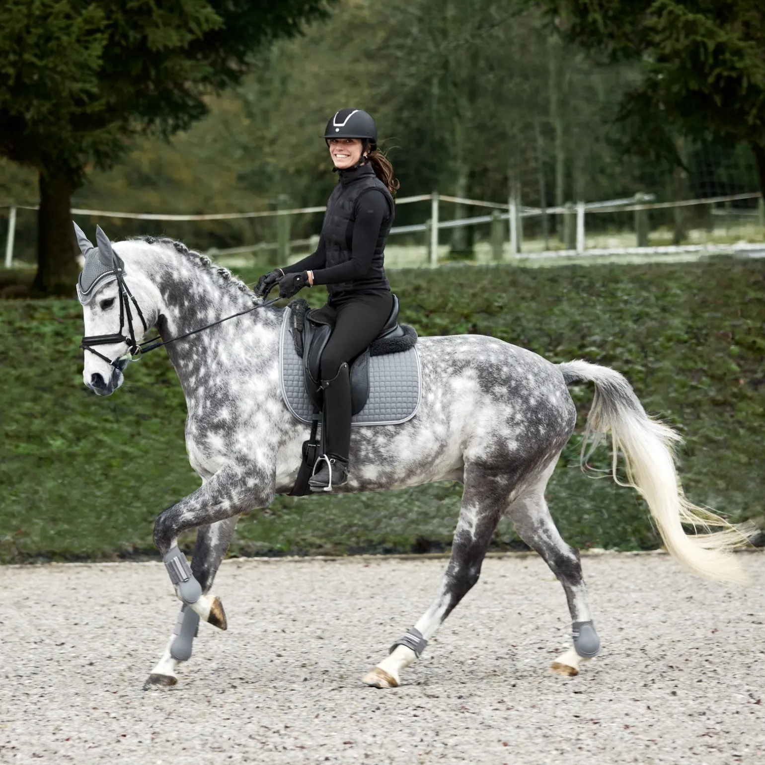 Adepto Vielseitigkeitsschabracke