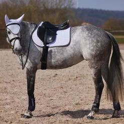 Adepto Vielseitigkeitsschabracke