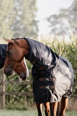 All Weather Waterproof Classic Regendecke, 0g