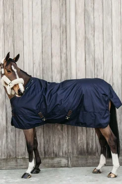 All Weather Weidedecke, 160g