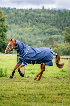 Amigo Bravo 12 Plus 100g