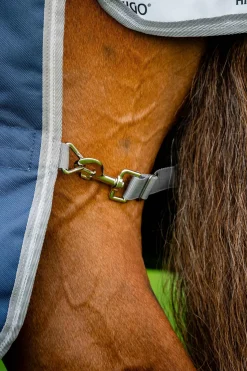 Amigo Bravo 12 Plus 100g