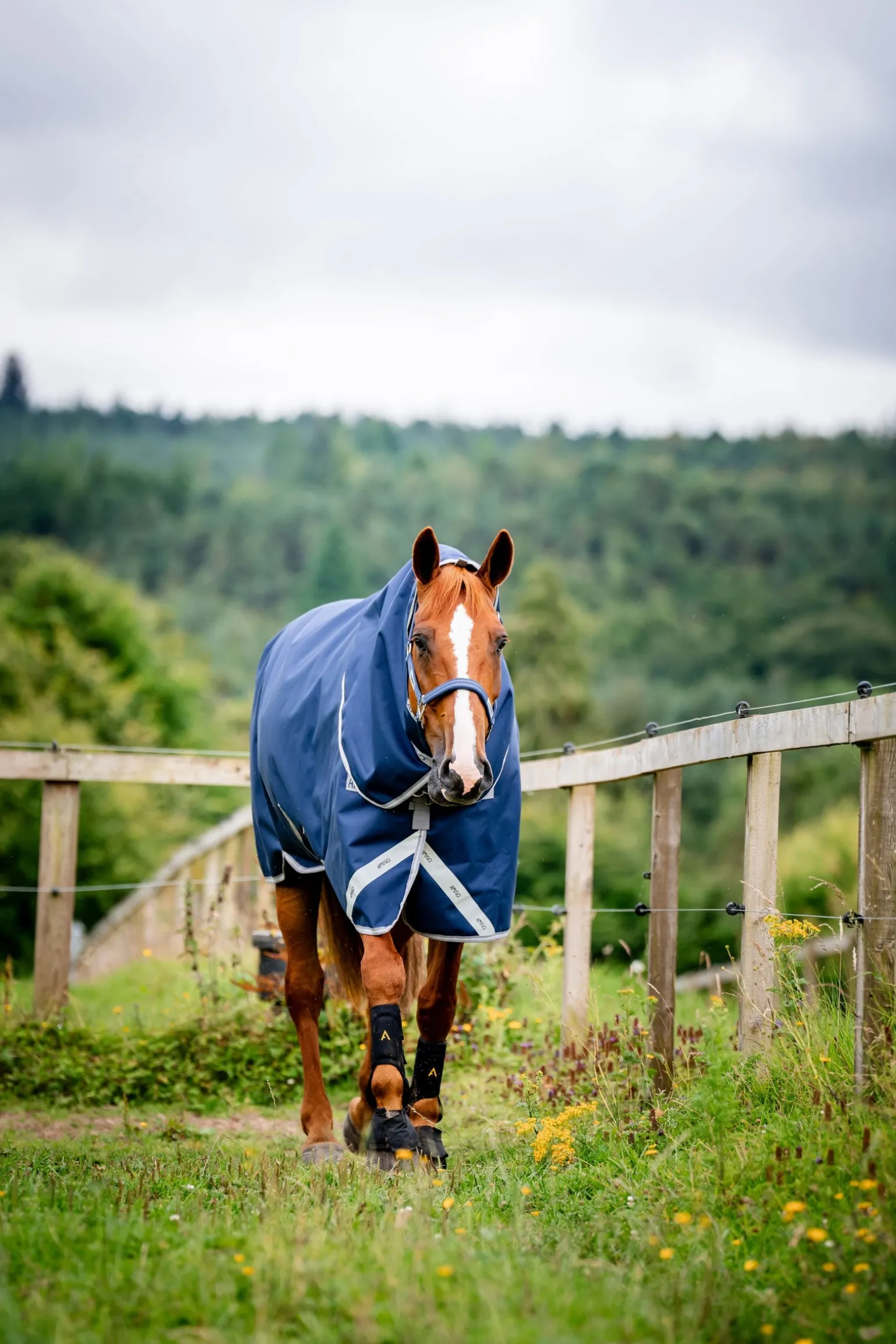 Amigo Bravo 12 Plus Weidedecke mit abnehmbarem Hals, 400g