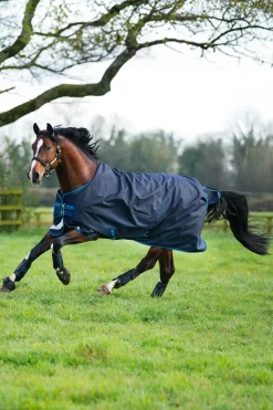 Amigo Bravo 12 Weidedecke, 100g