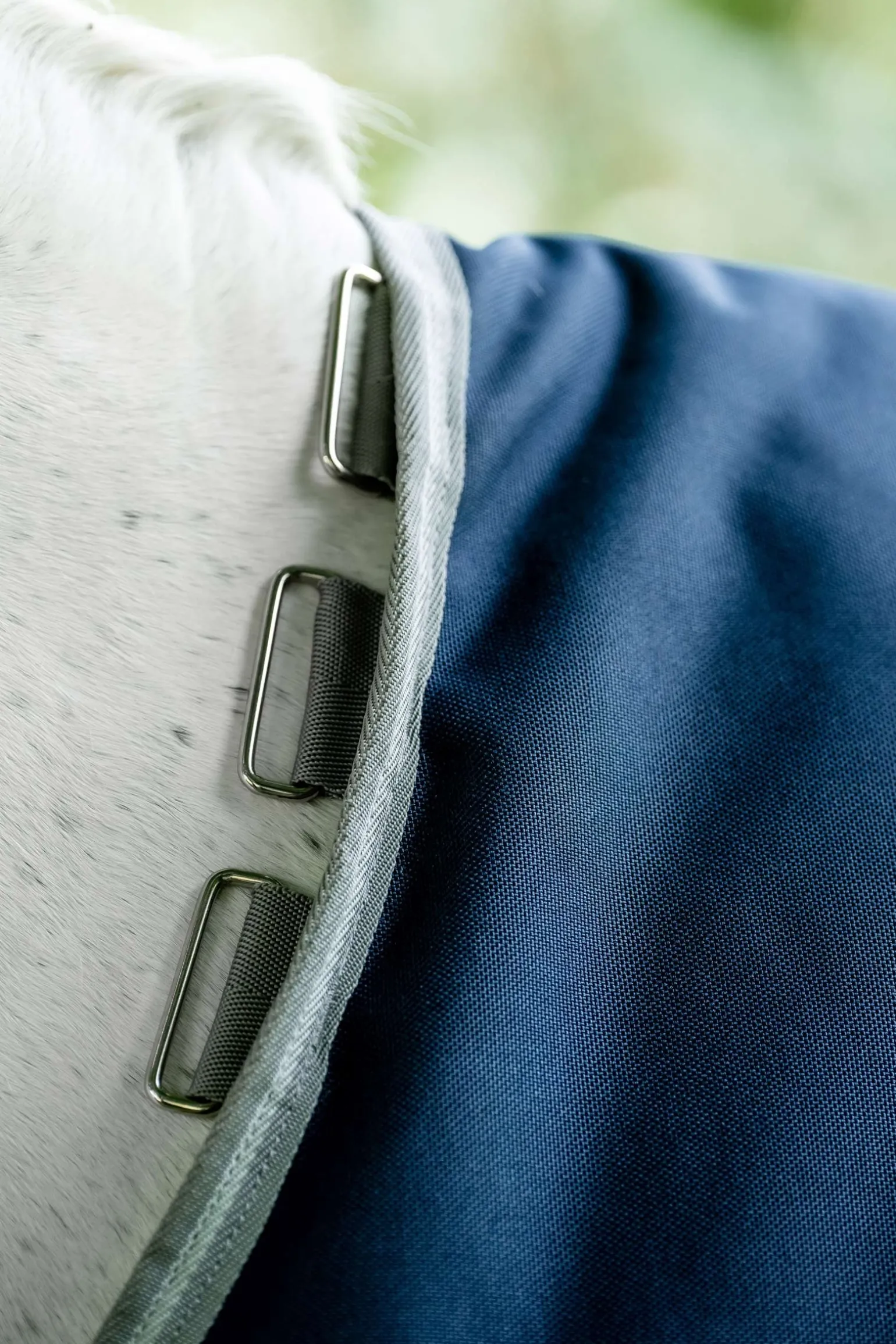 Amigo Bravo 12 Weidedecke, 100g