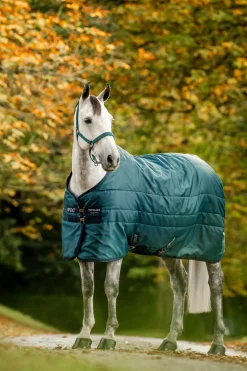 Amigo Diamond Insulator Stalldecke, 100 g