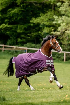 Amigo Hero Ripstop Weidedecke, 50g