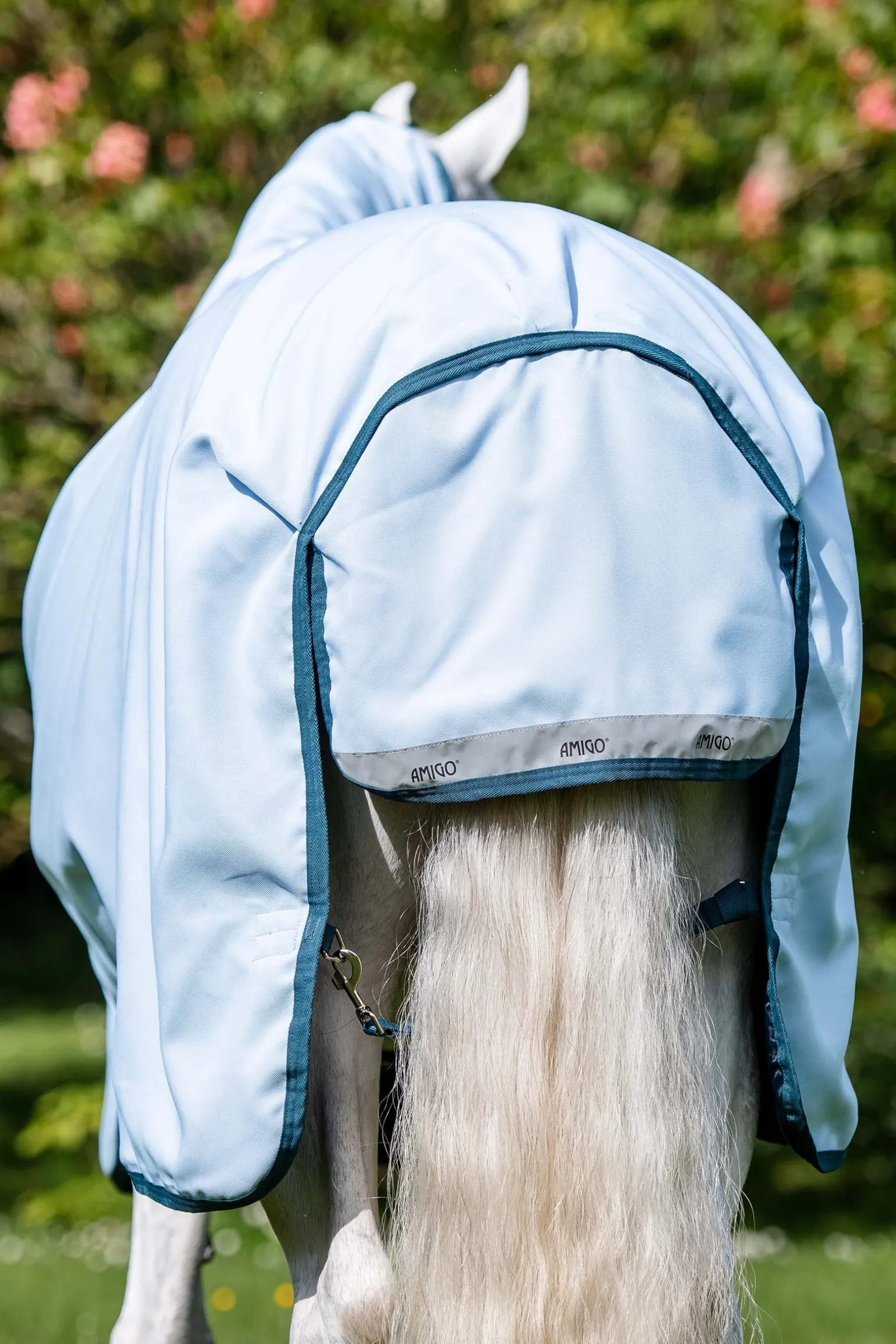 Amigo Plant Dye Weidedecke, 50g