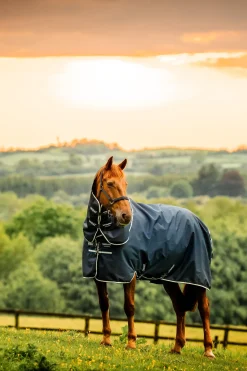 Amigo Ripstop 900D Plus Weidedecke mit abnehmbarem Halsteil, 100 g