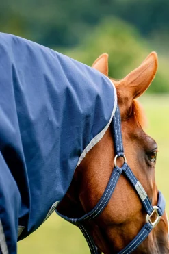 Amigo Ripstop 900D Plus Weidedecke mit abnehmbarem Halsteil, 100 g