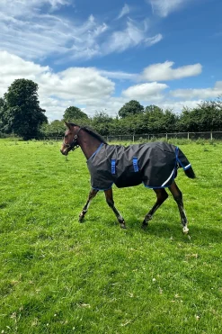 Amigo Ripstop 900D Weidedecke für Fohlen 200g