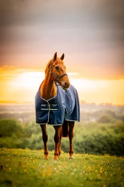 Amigo Ripstop Weidedecke 900D, 0g