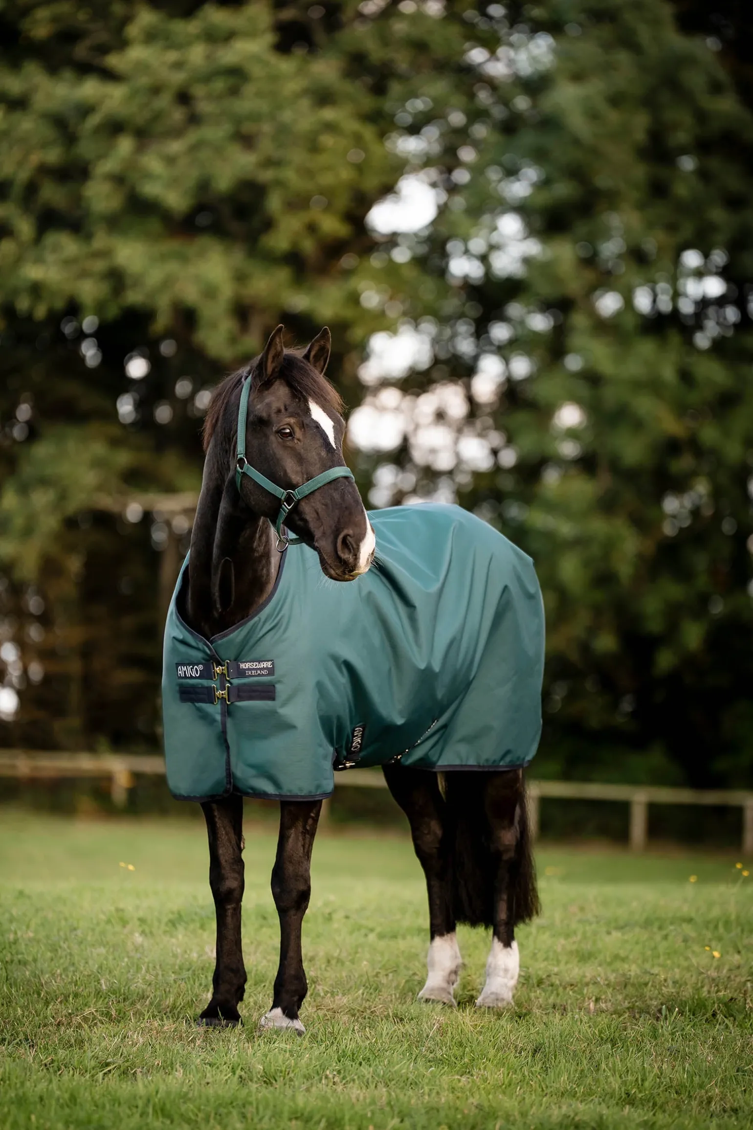 Amigo Ripstop Weidedecke 900D, 50g