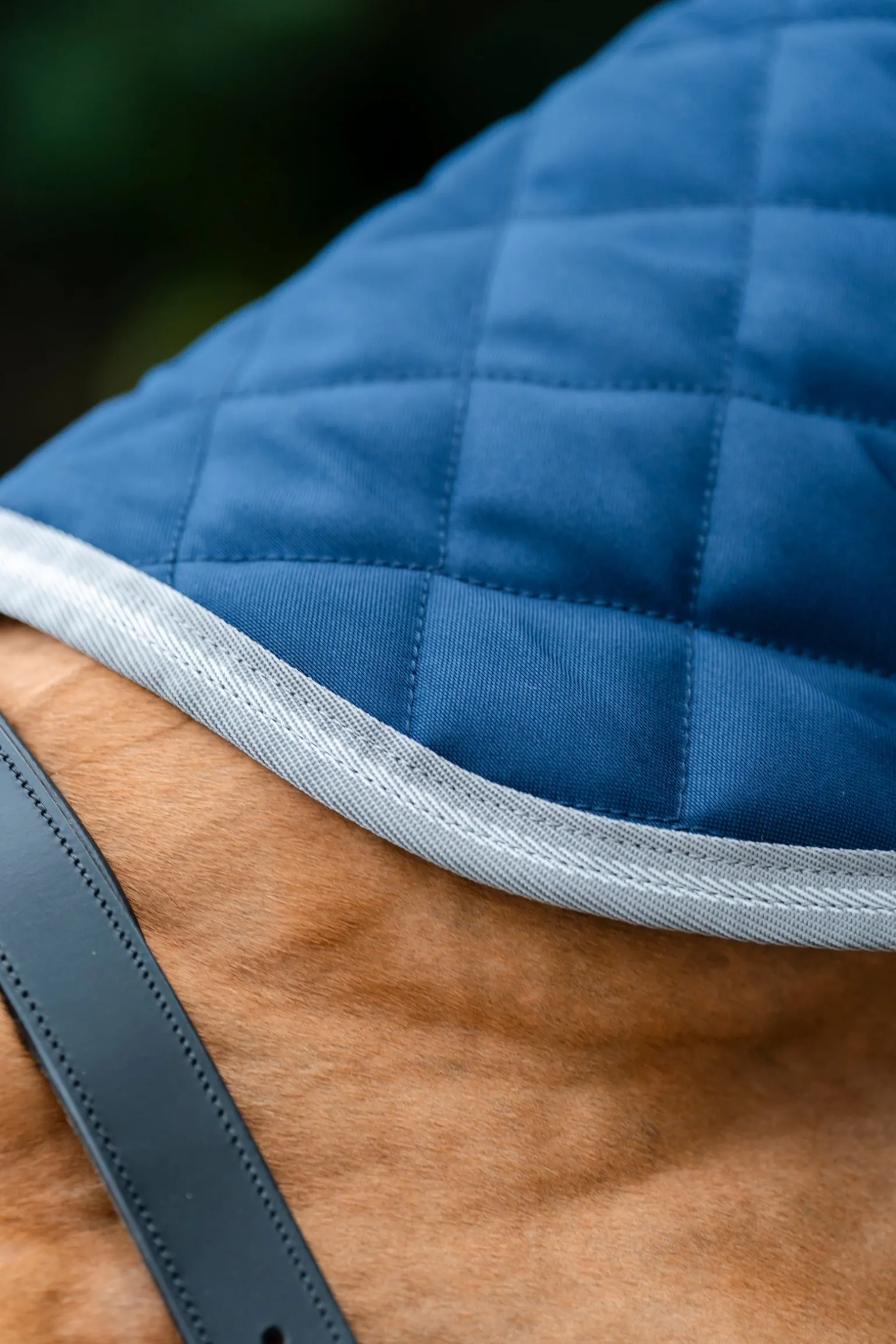 Amigo Stepp-Stalldecke Plus, 200 g