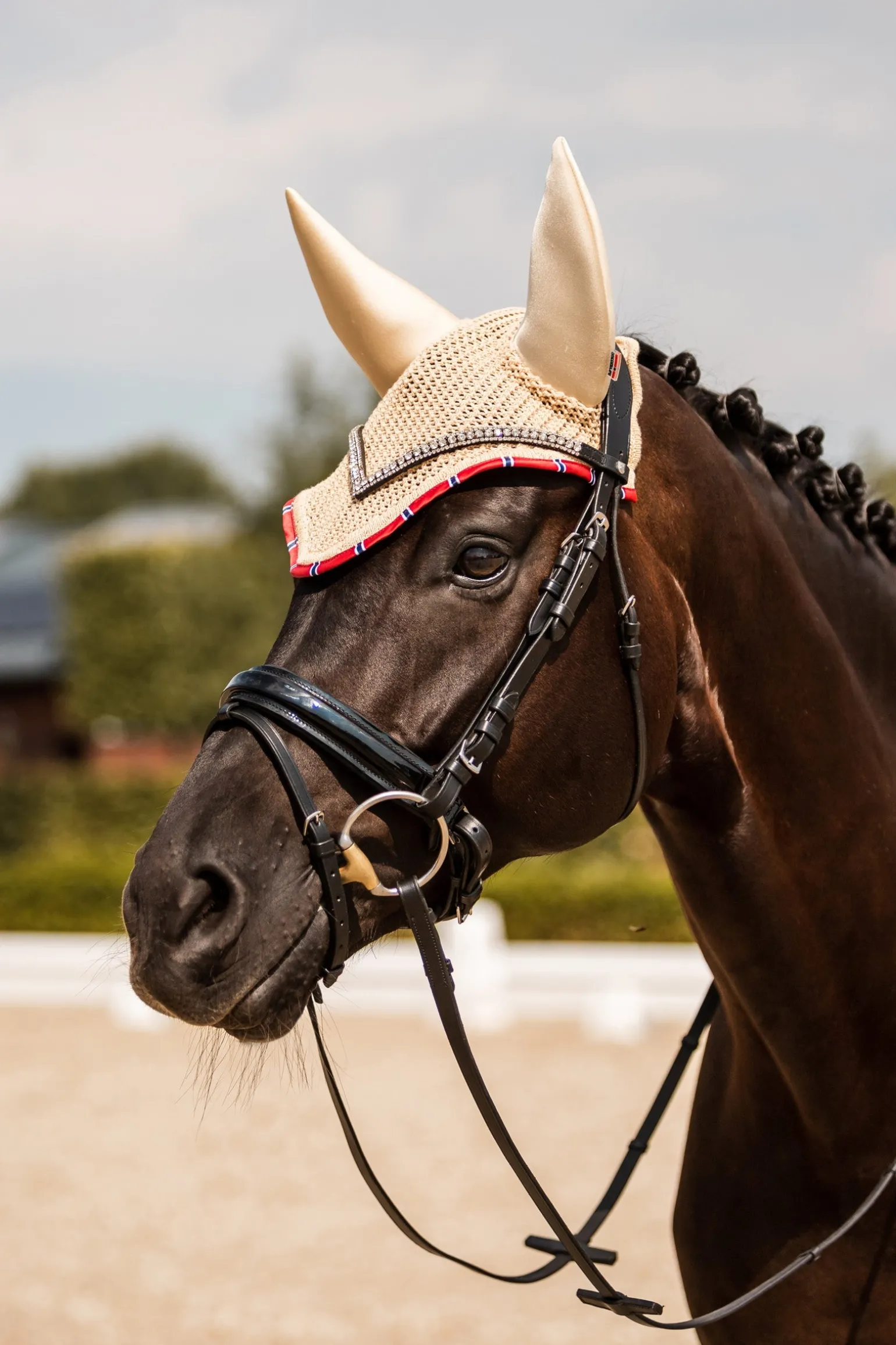 Amory Soundless Fliegenhaube