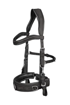 Anatomic Lederkappzaum