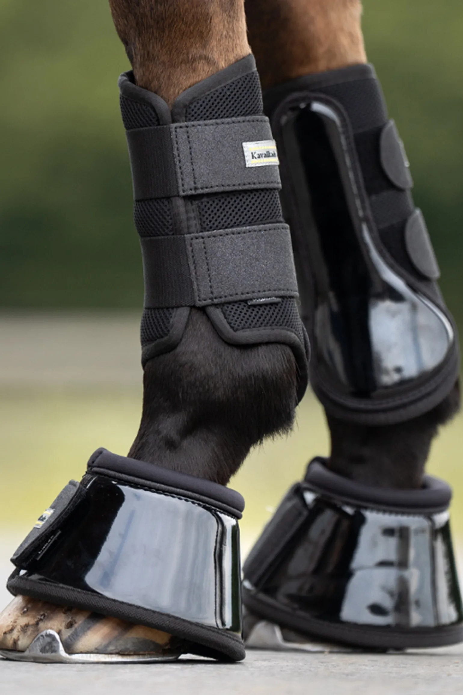 Anatomic Star Mesh Brushing Boots (1Pair)