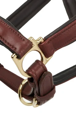 Anatomisches Lederhalfter