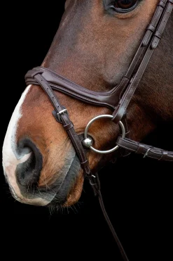 Ancona Select Trense