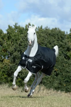 Anniversary SD leichte Regendecke, 0g