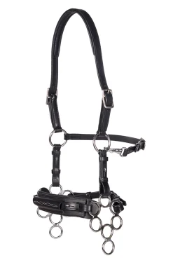 Aram Hackamore (System 2) Leather, Jaw Straps, w/ Scissors