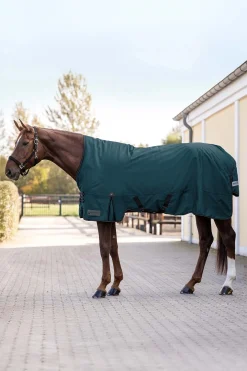 Arctic Outdoor Rug With High Neck, 100 g