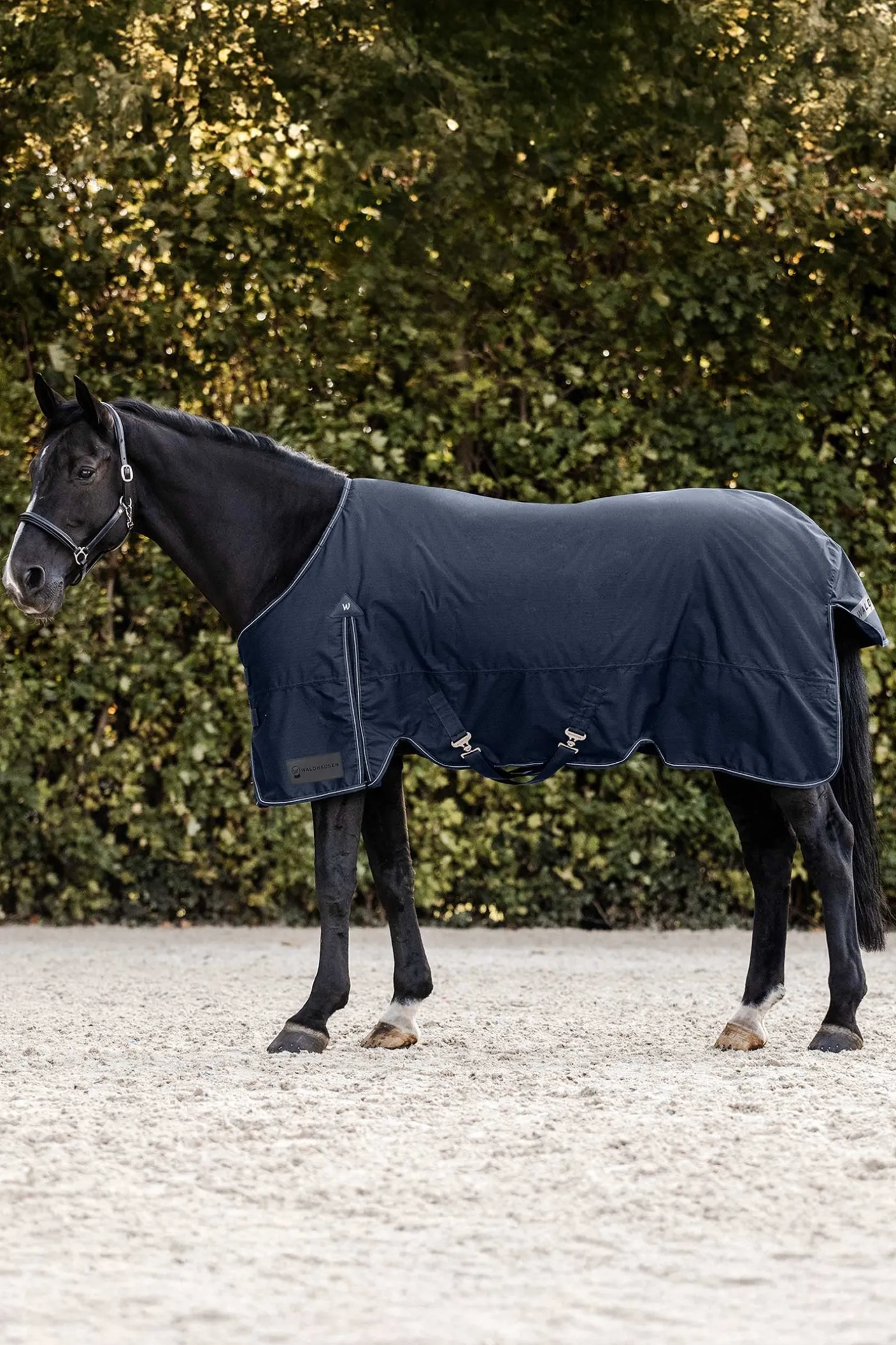 Arctic Weidedecke, 200 g