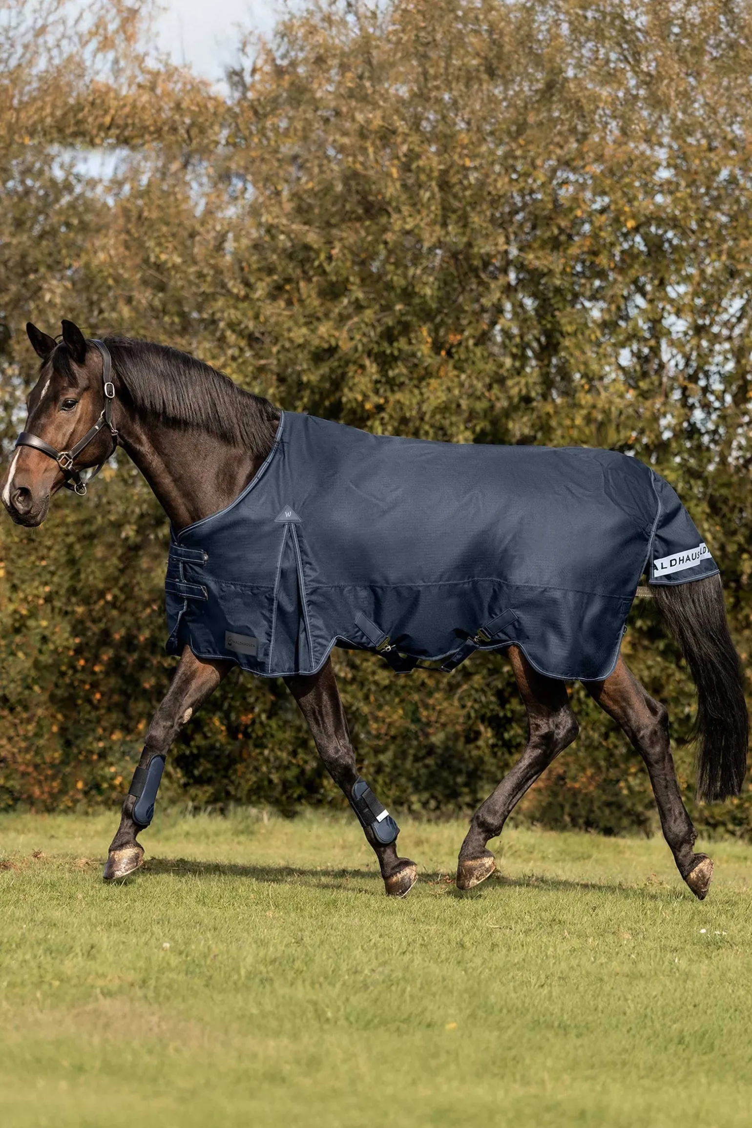 Arctic Weidedecke, 200 g