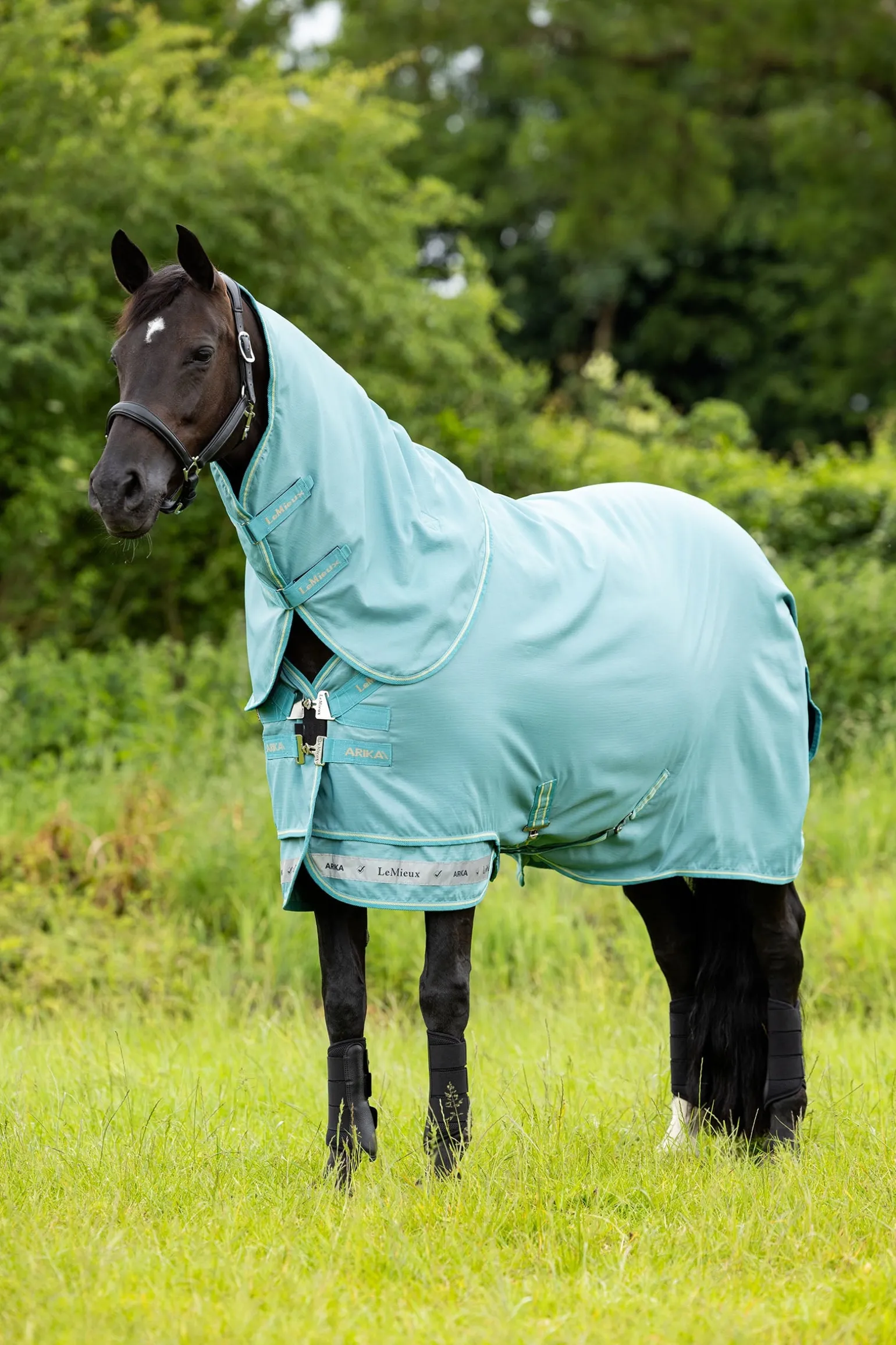 Arika 600D Weidedecke mit abnehmbarem Halsteil, 50 g