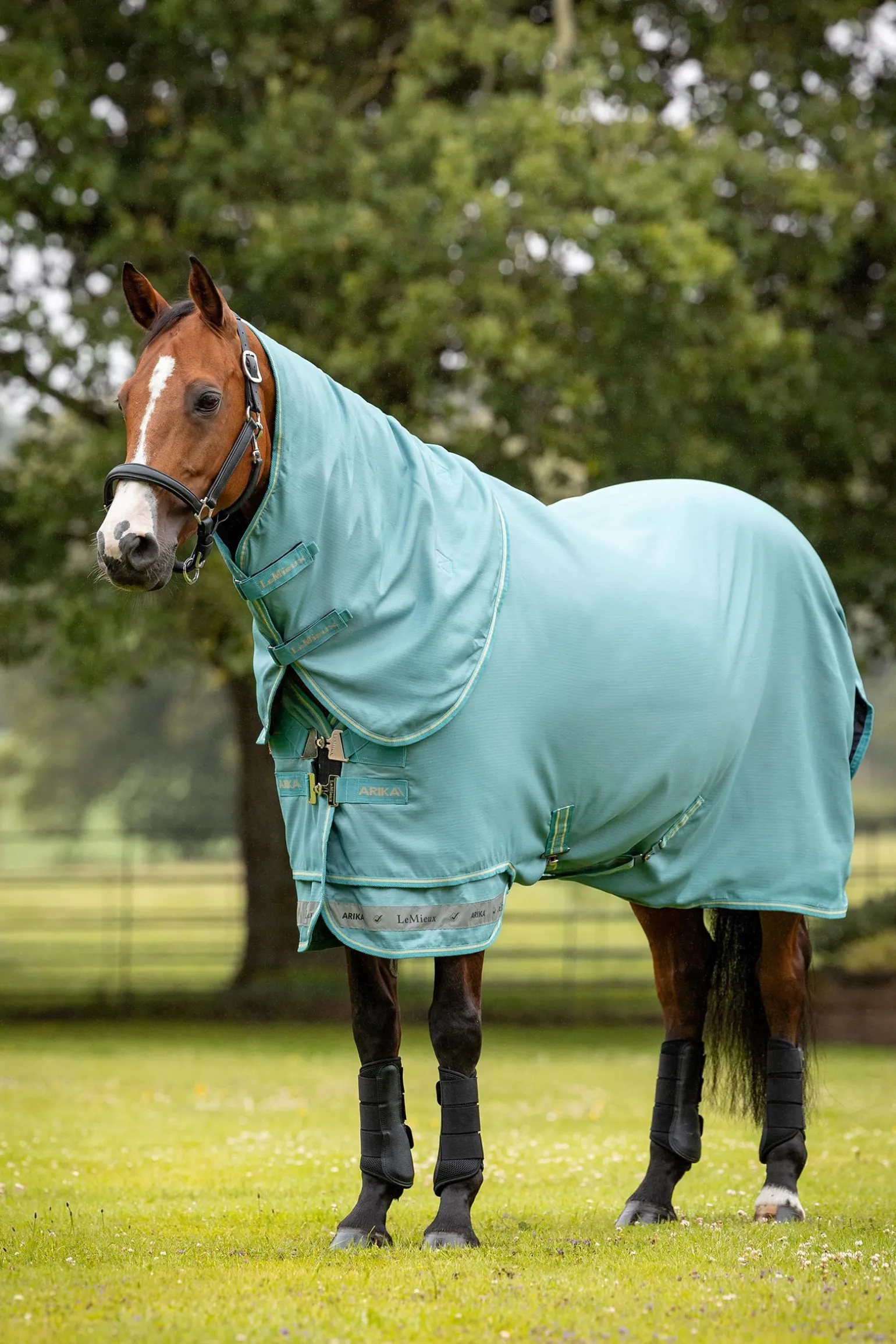 Arika 600D Weidedecke mit abnehmbarem Halsteil, 50 g