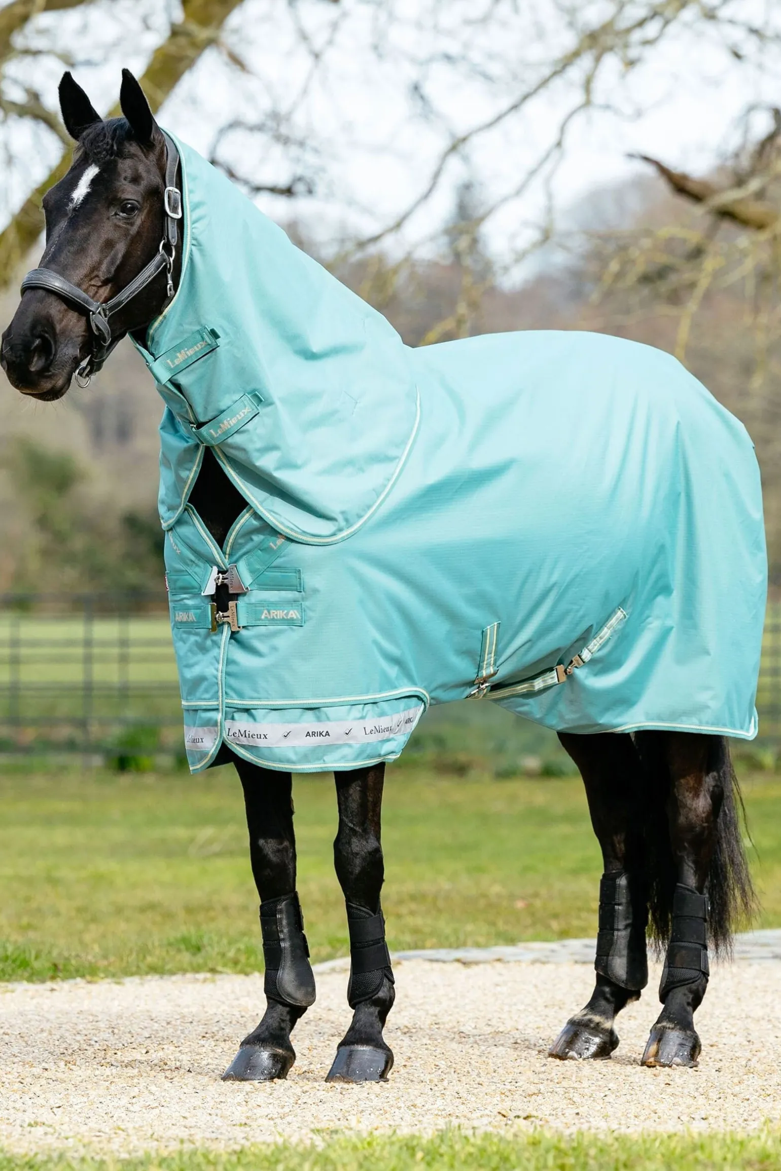 Arika 600D Weidedecke mit abnehmbarem Halsteil, 50 g