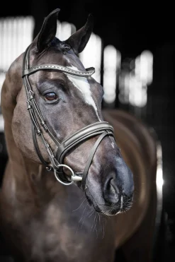 Arika Dresssur Trense