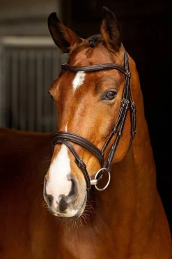 Arika englisch kombinierte Trense