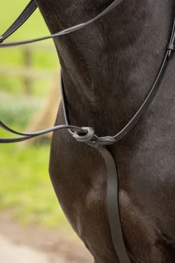 Arika laufendes Martingal