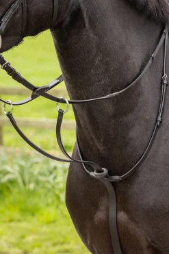 Arika laufendes Martingal