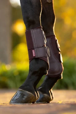 Arika Mesh Dressurgamaschen