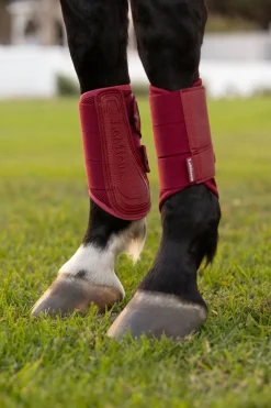 Arika Mesh Dressurgamaschen