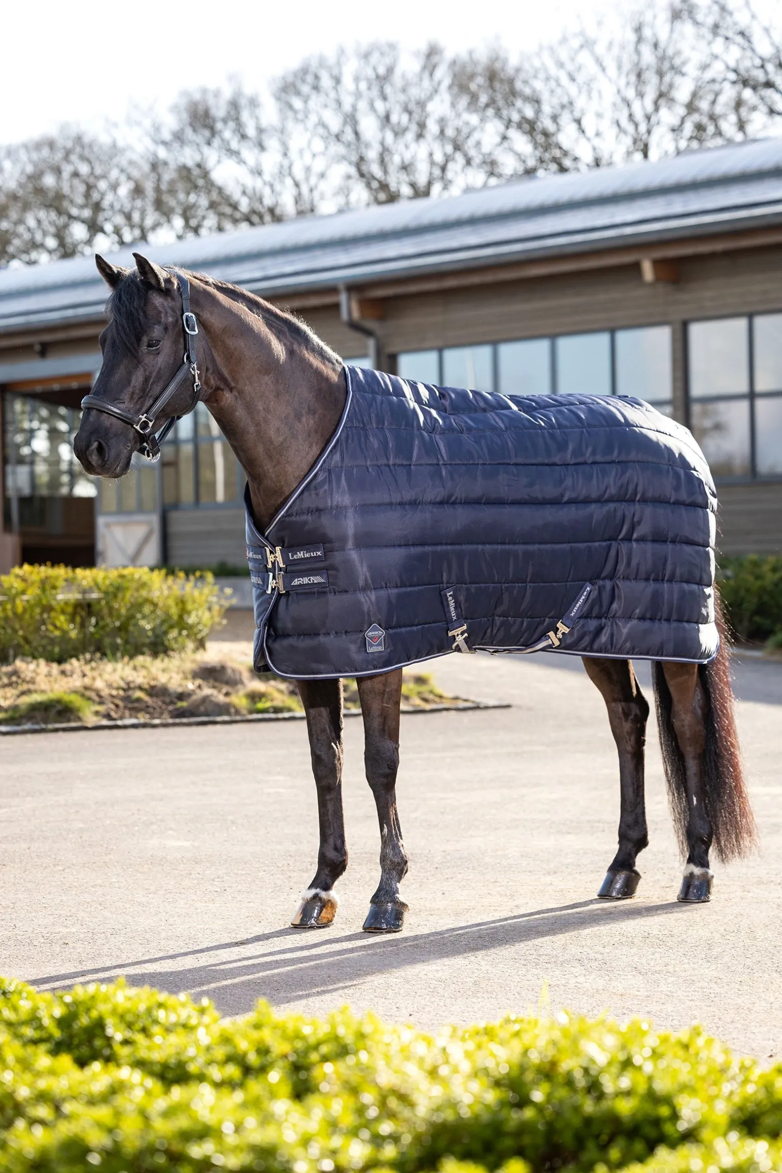 Arika Stable-Tek 100g