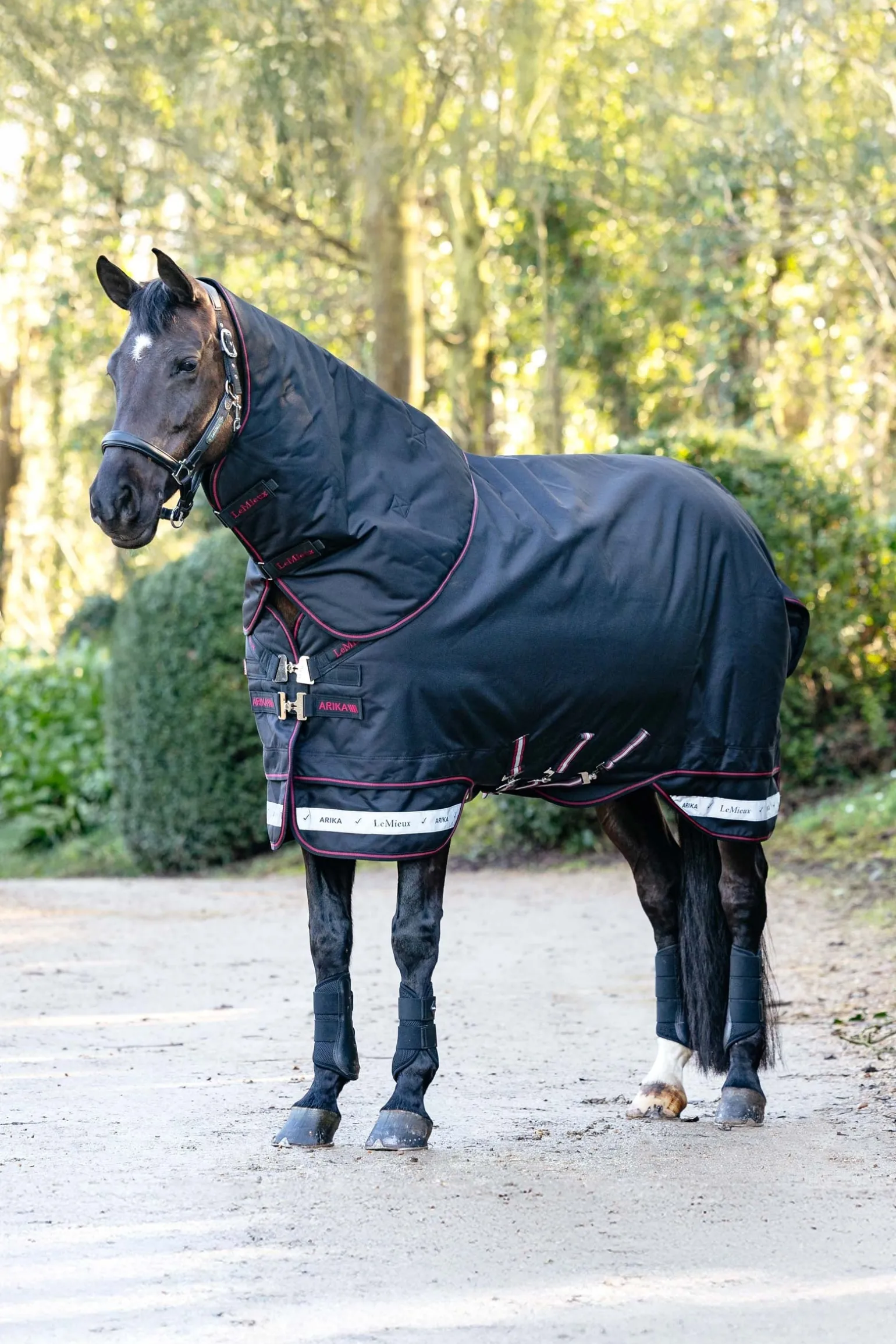 Arika Storm-Tek Weidedecke mit abnehmbarem Halsstück, 200 g