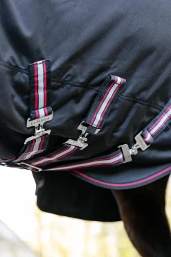 Arika Storm-Tek Weidedecke mit abnehmbarem Halsstück, 200 g