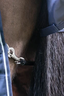 Arika Storm-Tek Weidedecke mit abnehmbarem Halsstück, 200 g