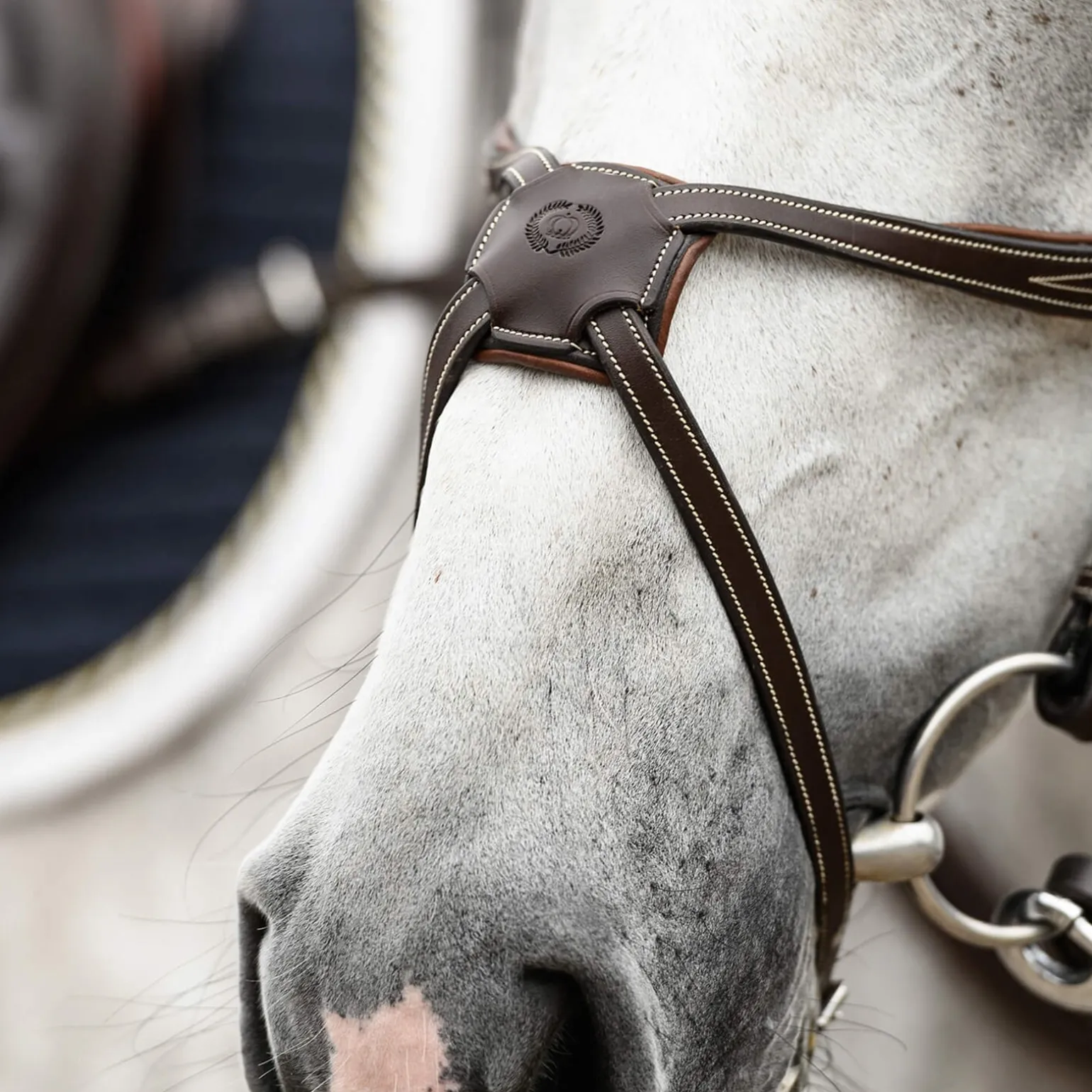 Athens Mexikanische Trense