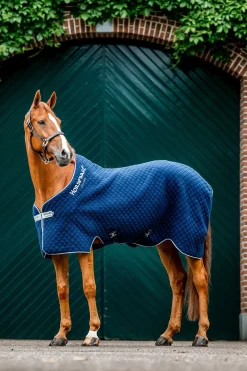 Autumn Cooler Abschwitzdecke